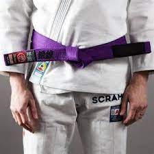 bjj purple belt meaning