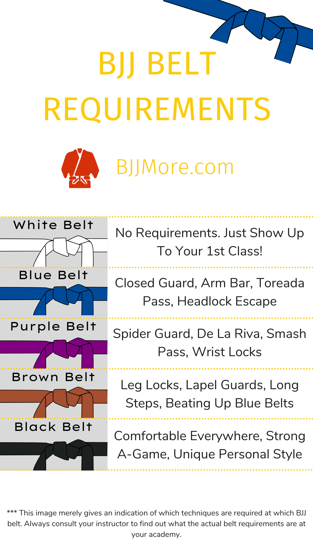 BJJ Belt Requirements and Curriculum – 5 Easy Steps