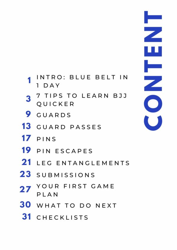 Blue belt in 1 day table of contents